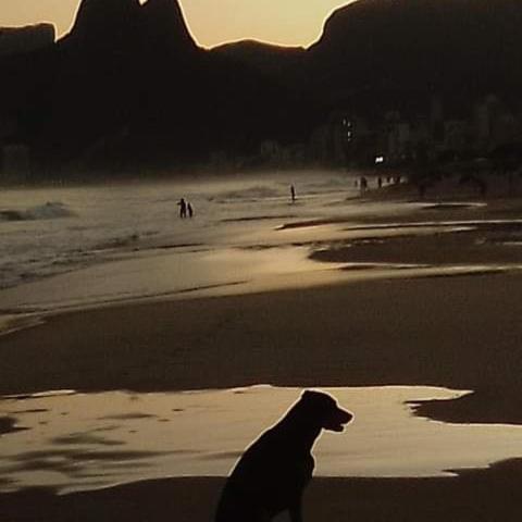 Ipanemabeach Private For One Person Only Habitación en casa particular Río de Janeiro